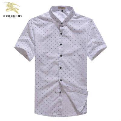 Burberry Men Shirts-738